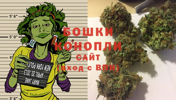 соль ск Арсеньев