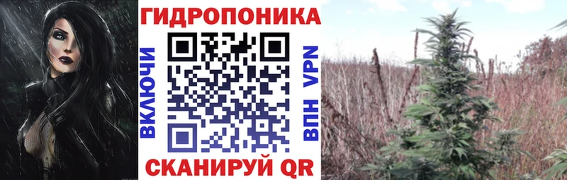 OMG tor  Семилуки  Каннабис конопля 